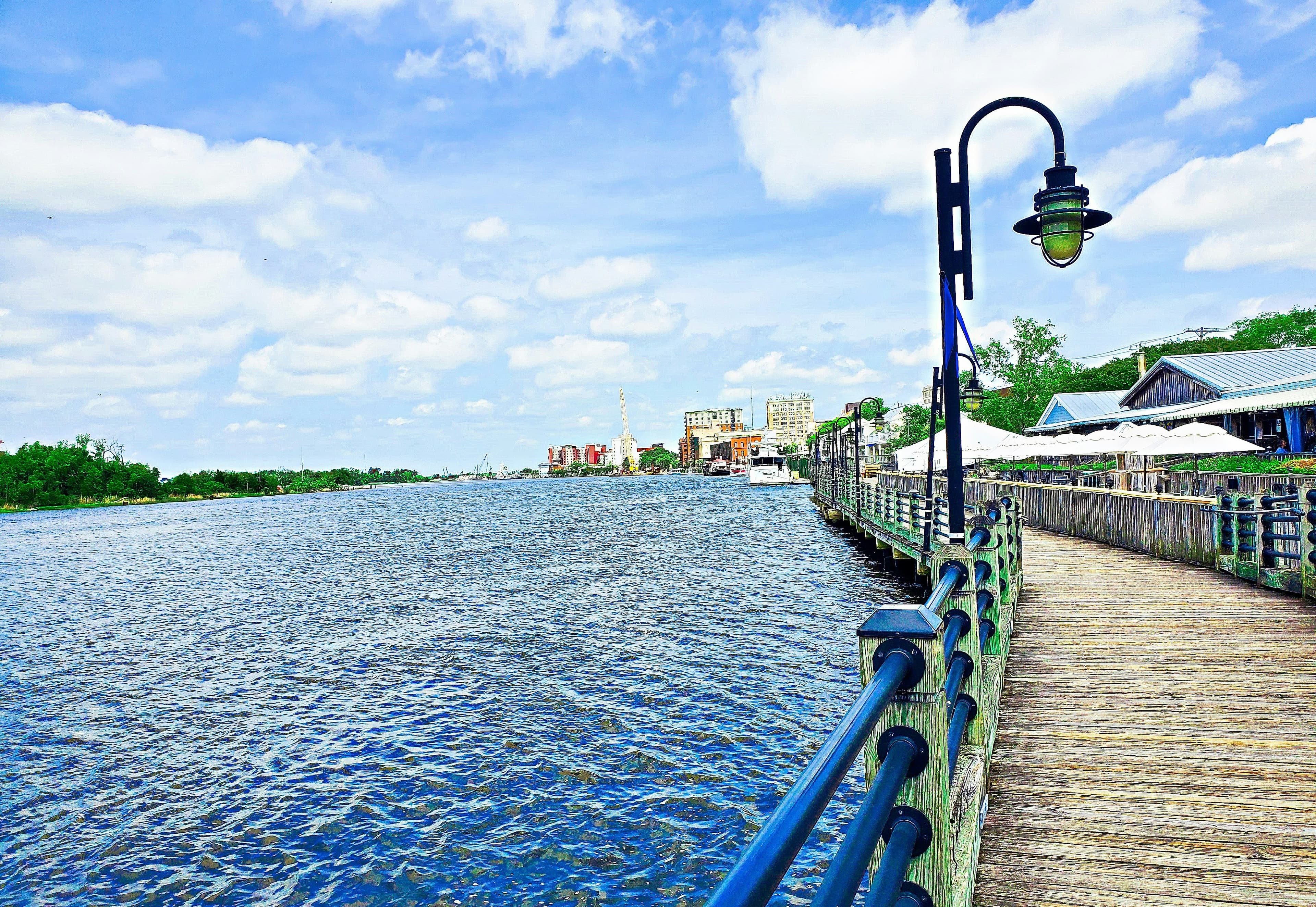 Medical Director, Wilmington, North Carolina.