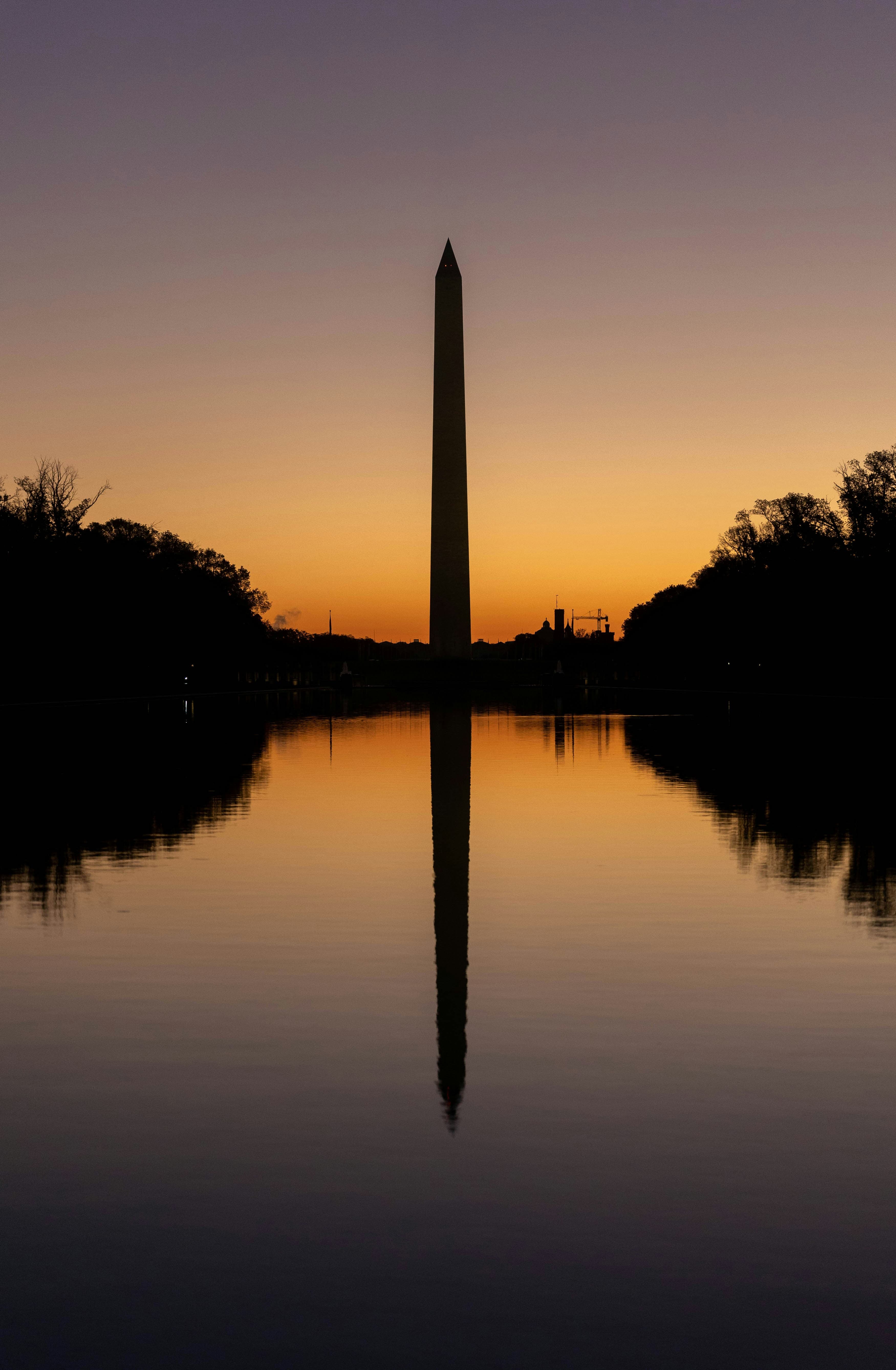 Associate Veterinarian, Washington, D.C.