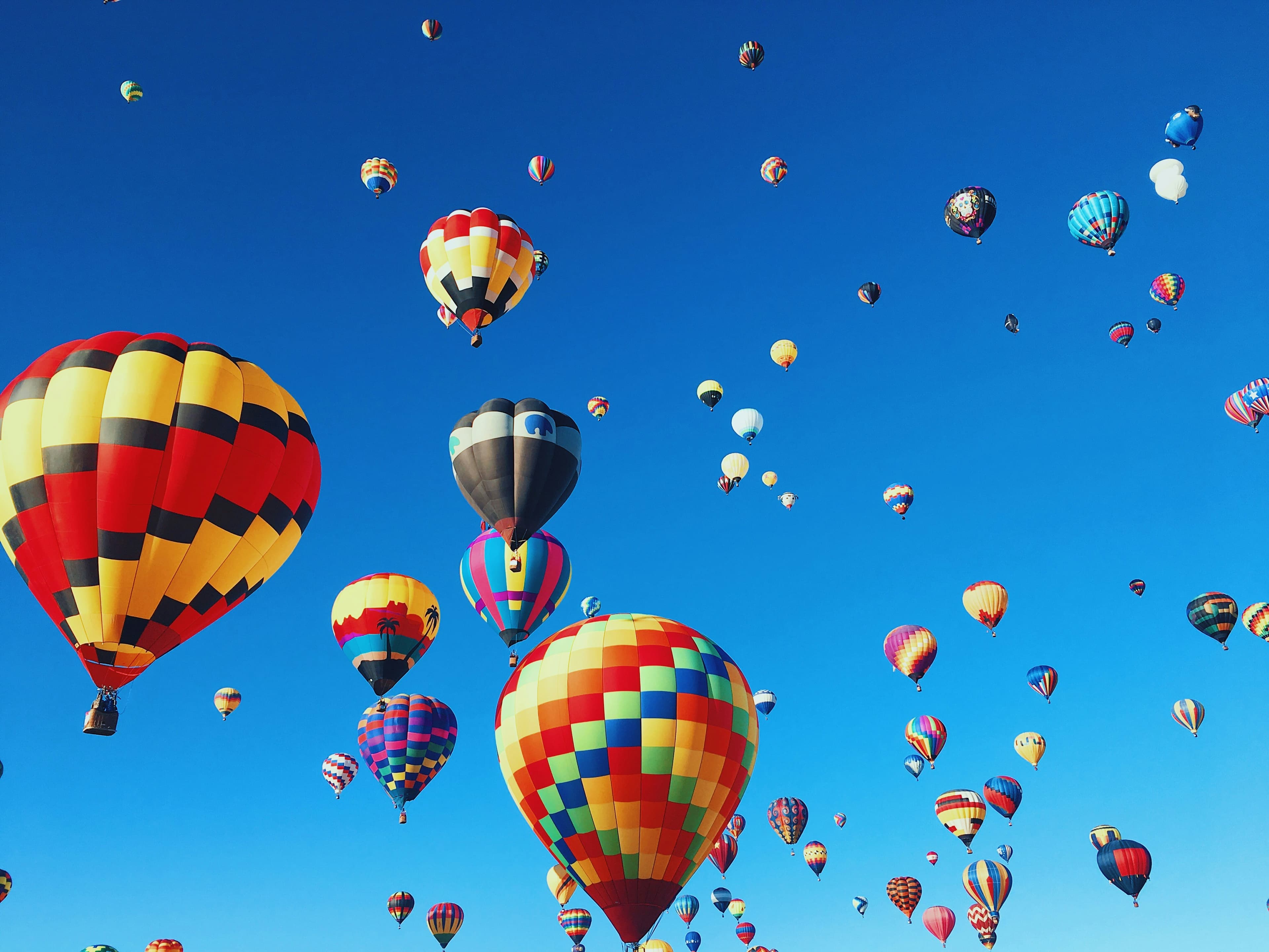 Associate Veterinarian, Albuquerque, New Mexico.