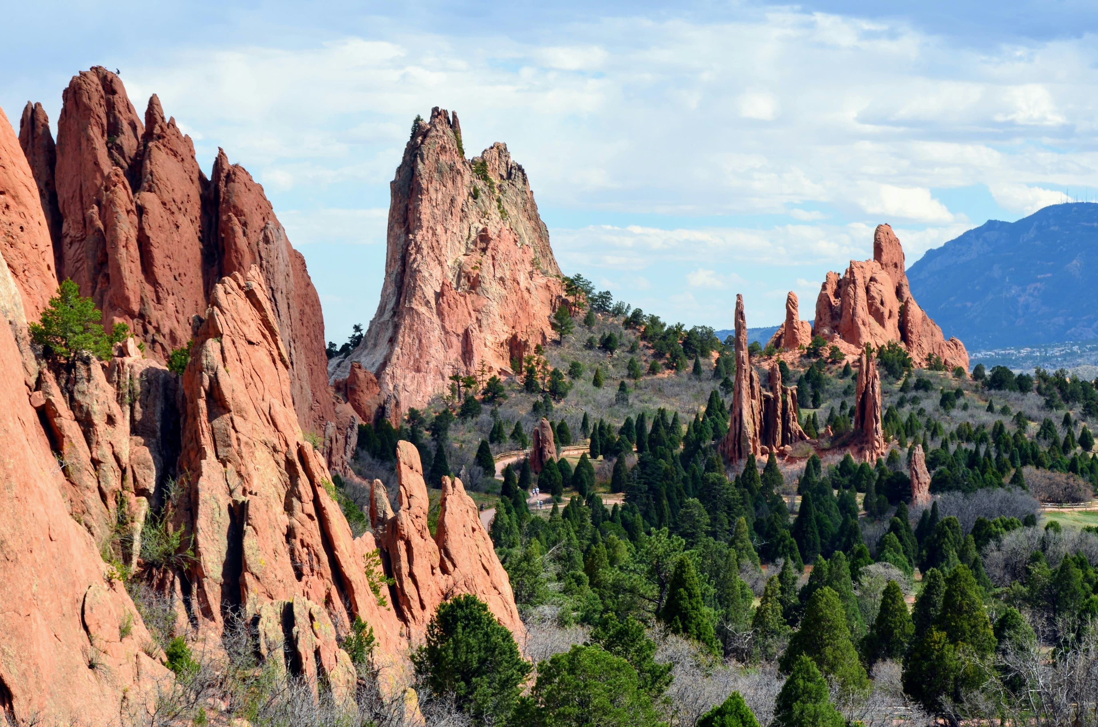 Associate Veterinarian, Colorado Springs, Colorado.