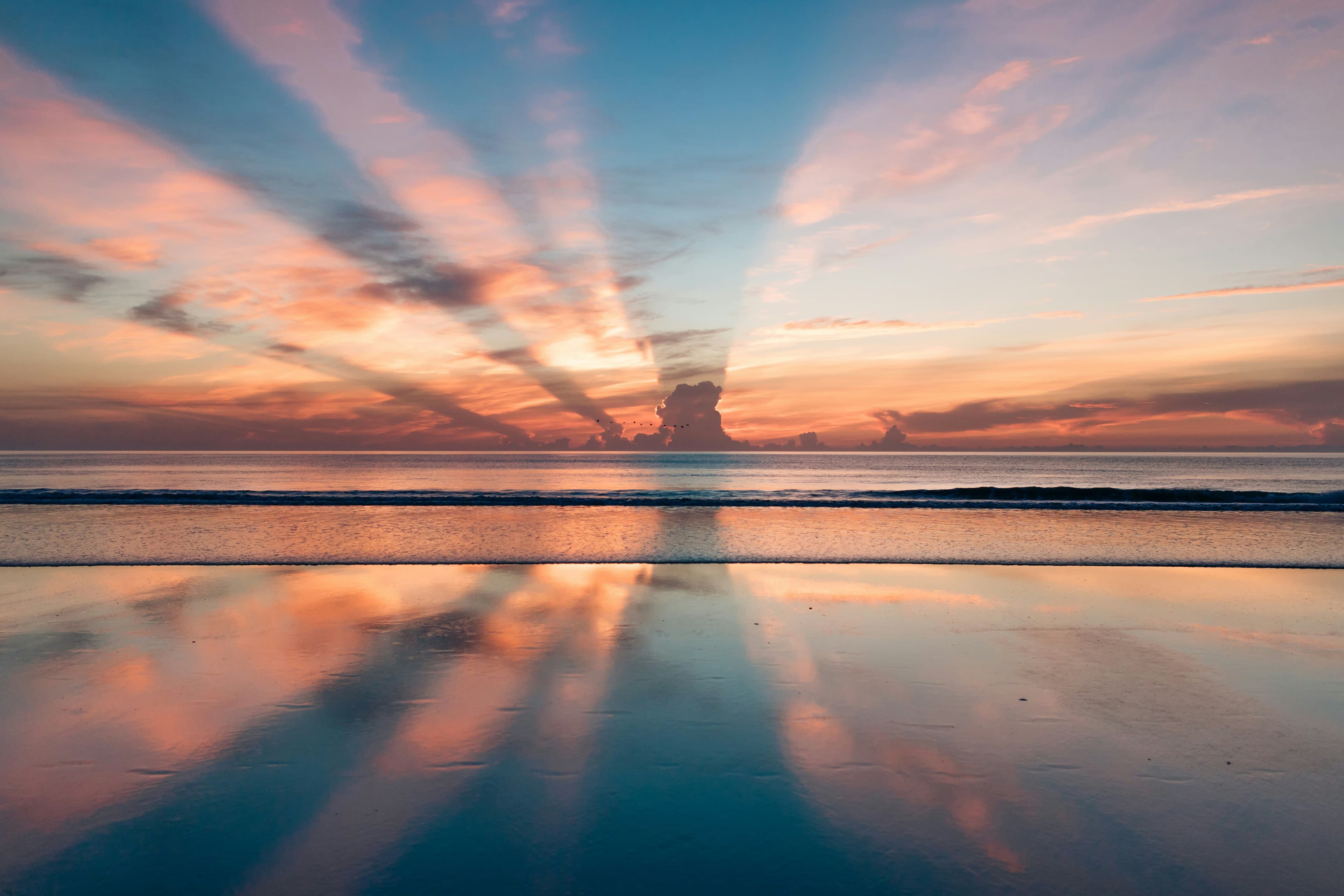 Associate Veterinarian, Ormond Beach, Florida.