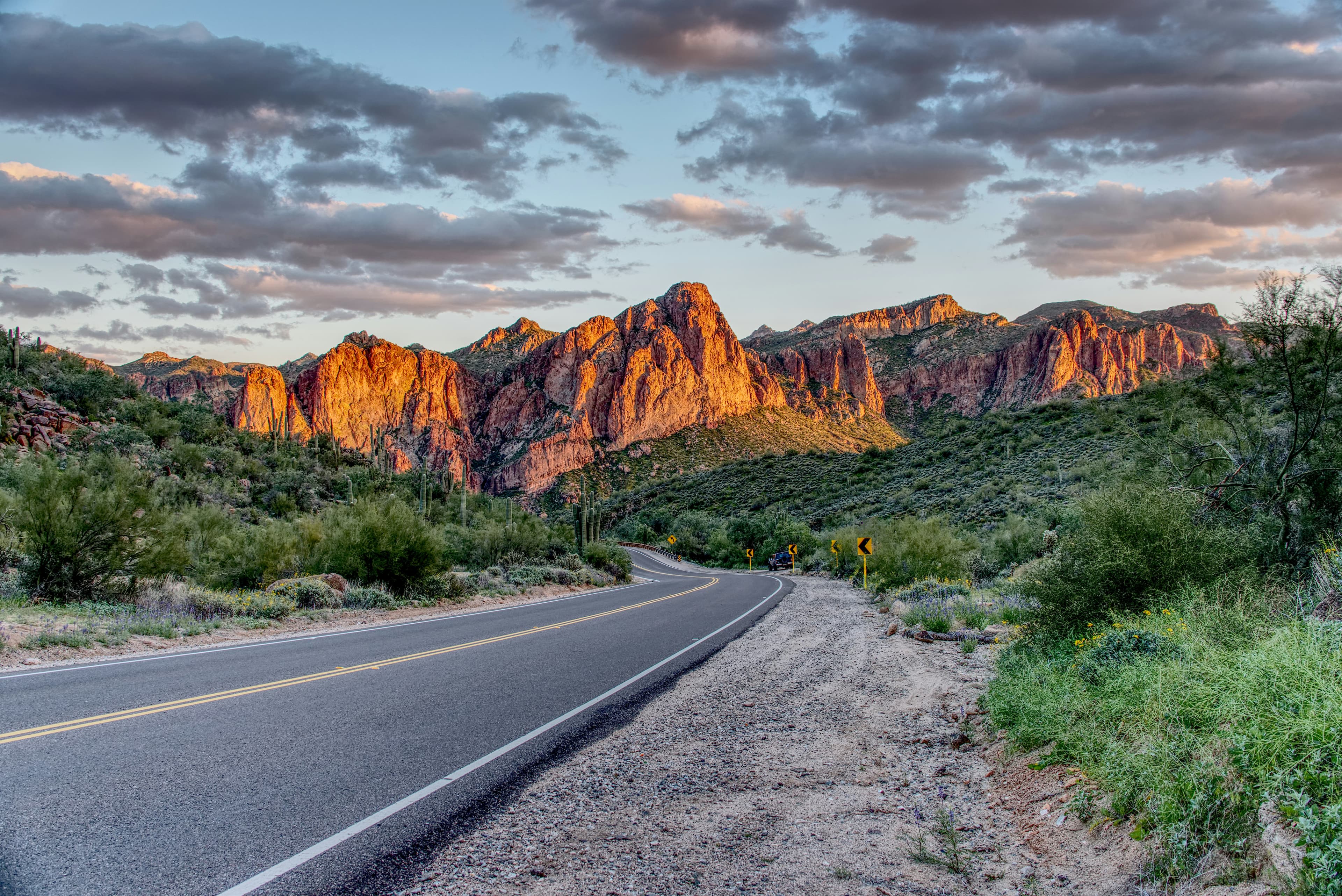 Associate Veterinarian, Mesa, Arizona.