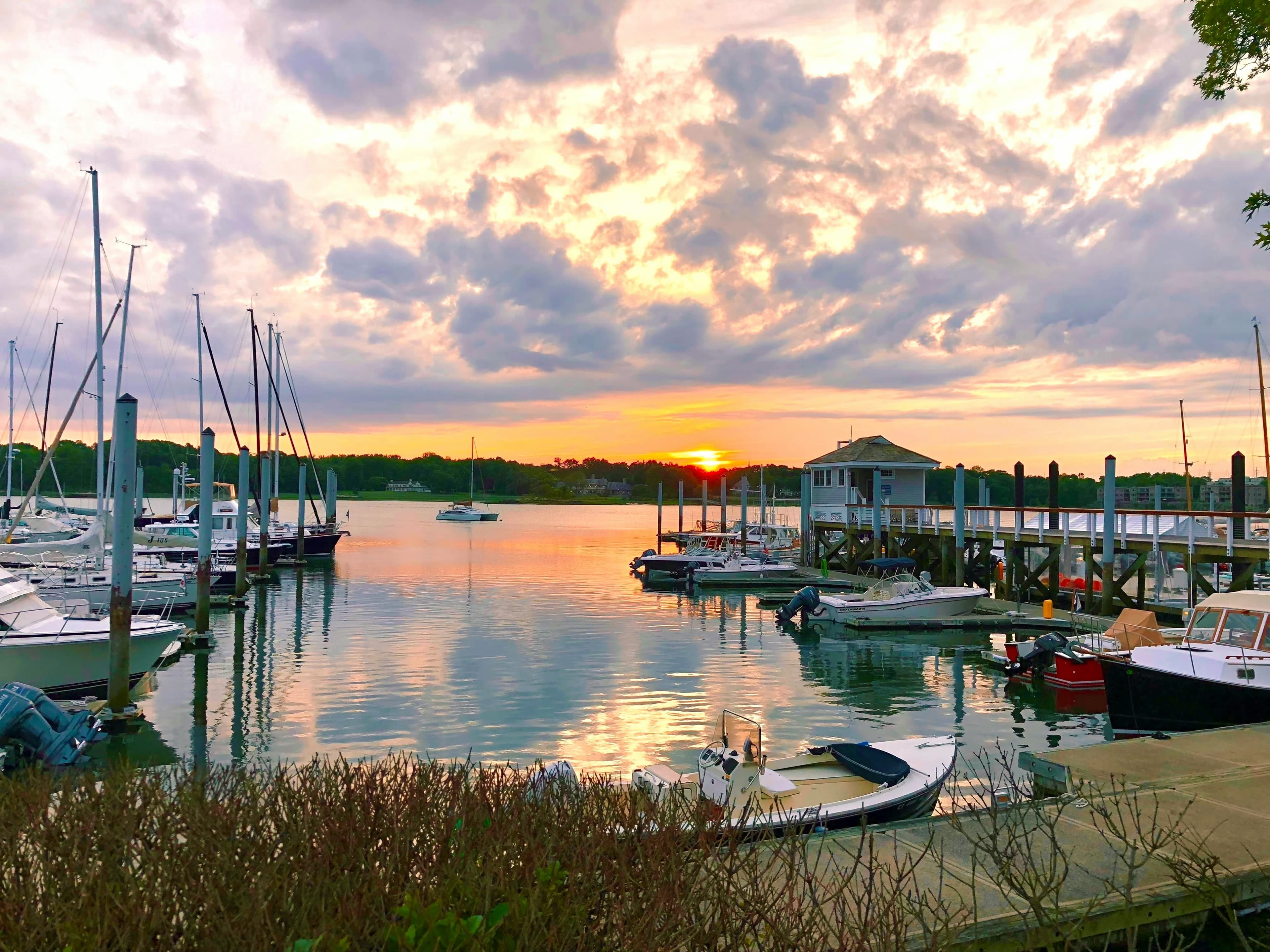 Associate Veterinarian, Danbury, Connecticut.