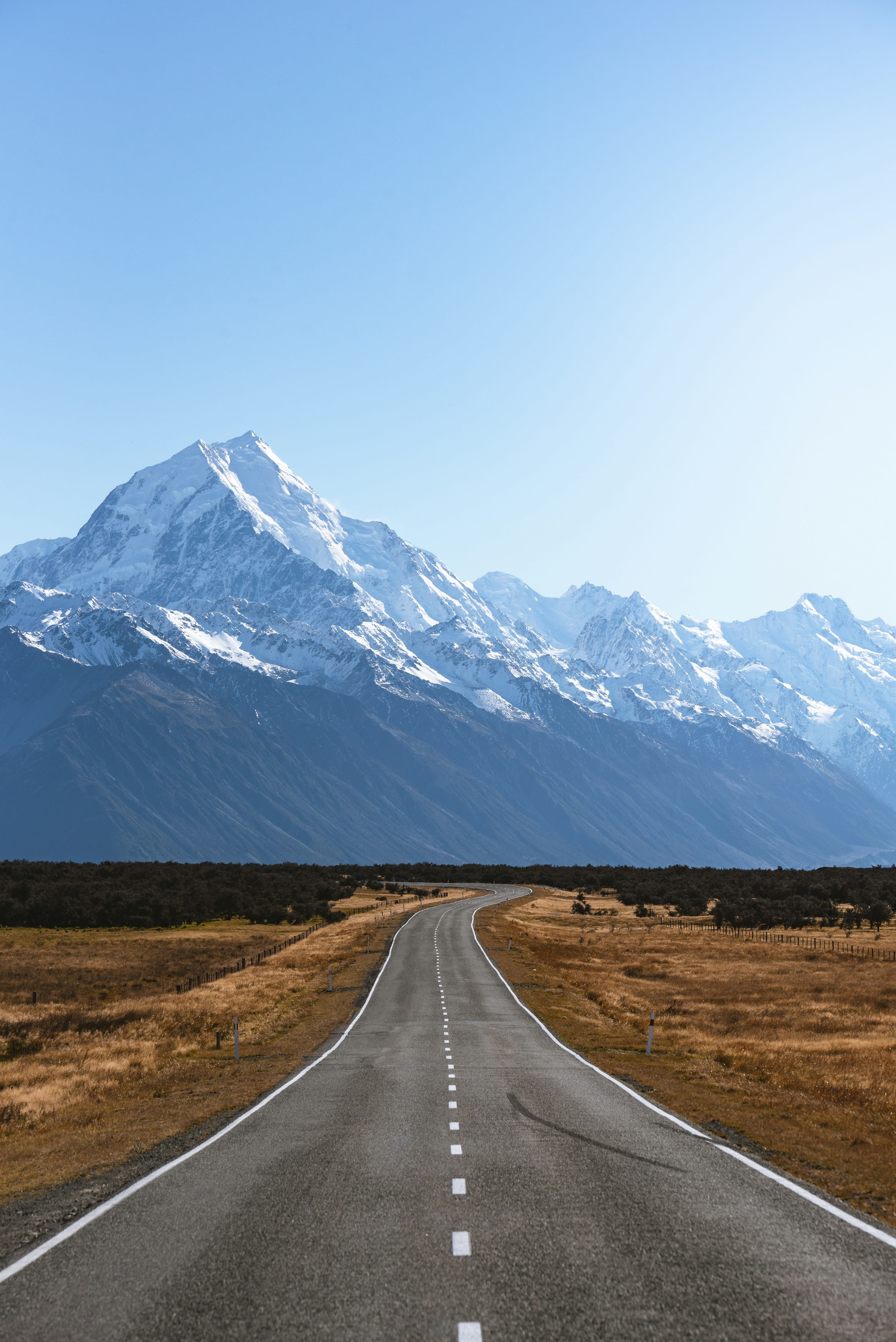 Cardiology Specialist  – Auckland, New Zealand Permanent | Full-Time | ECVIM + ACVIM