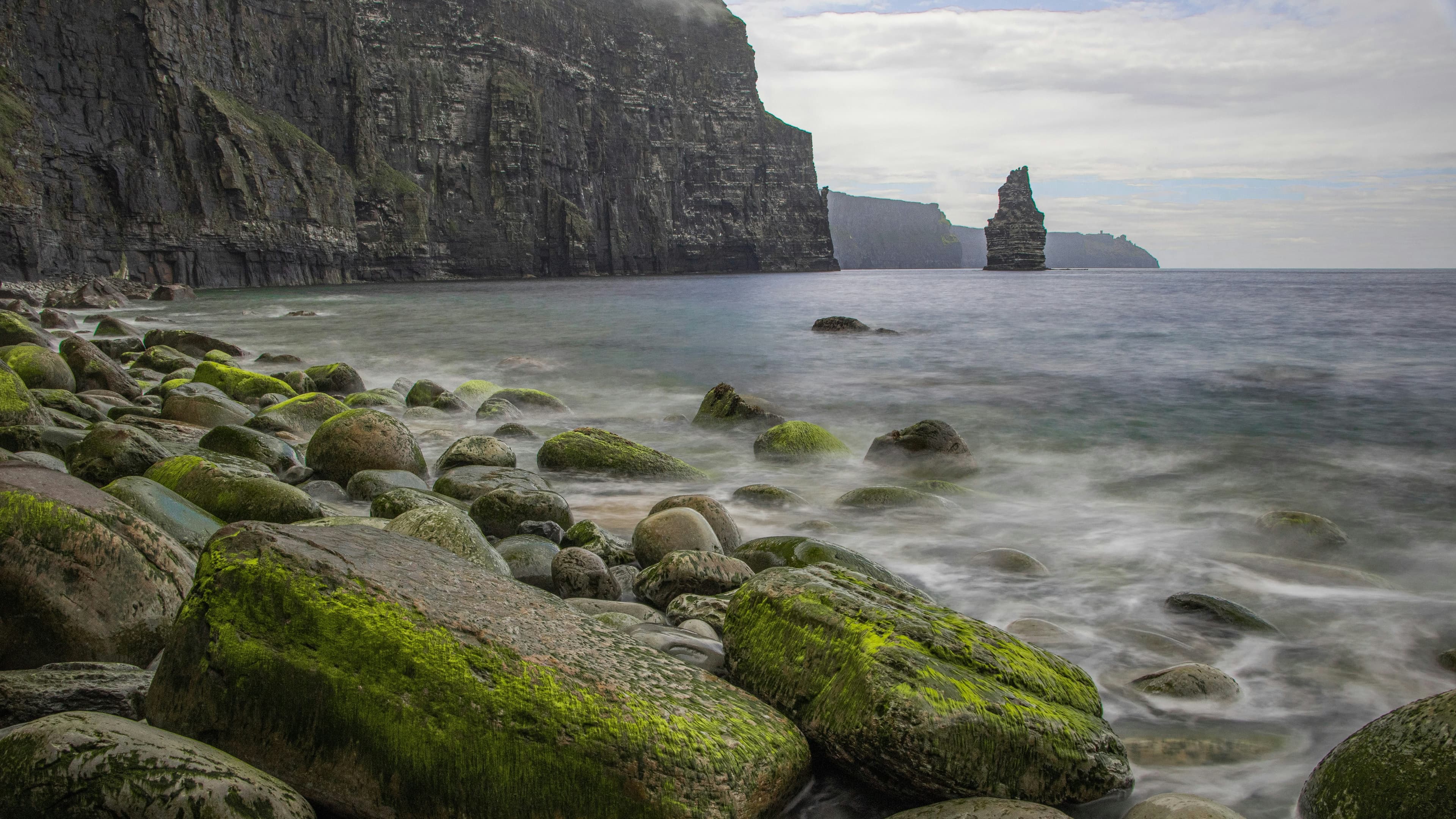 Small Animal Internal Medicine Specialist – Ireland | ECVIM + ACVIM