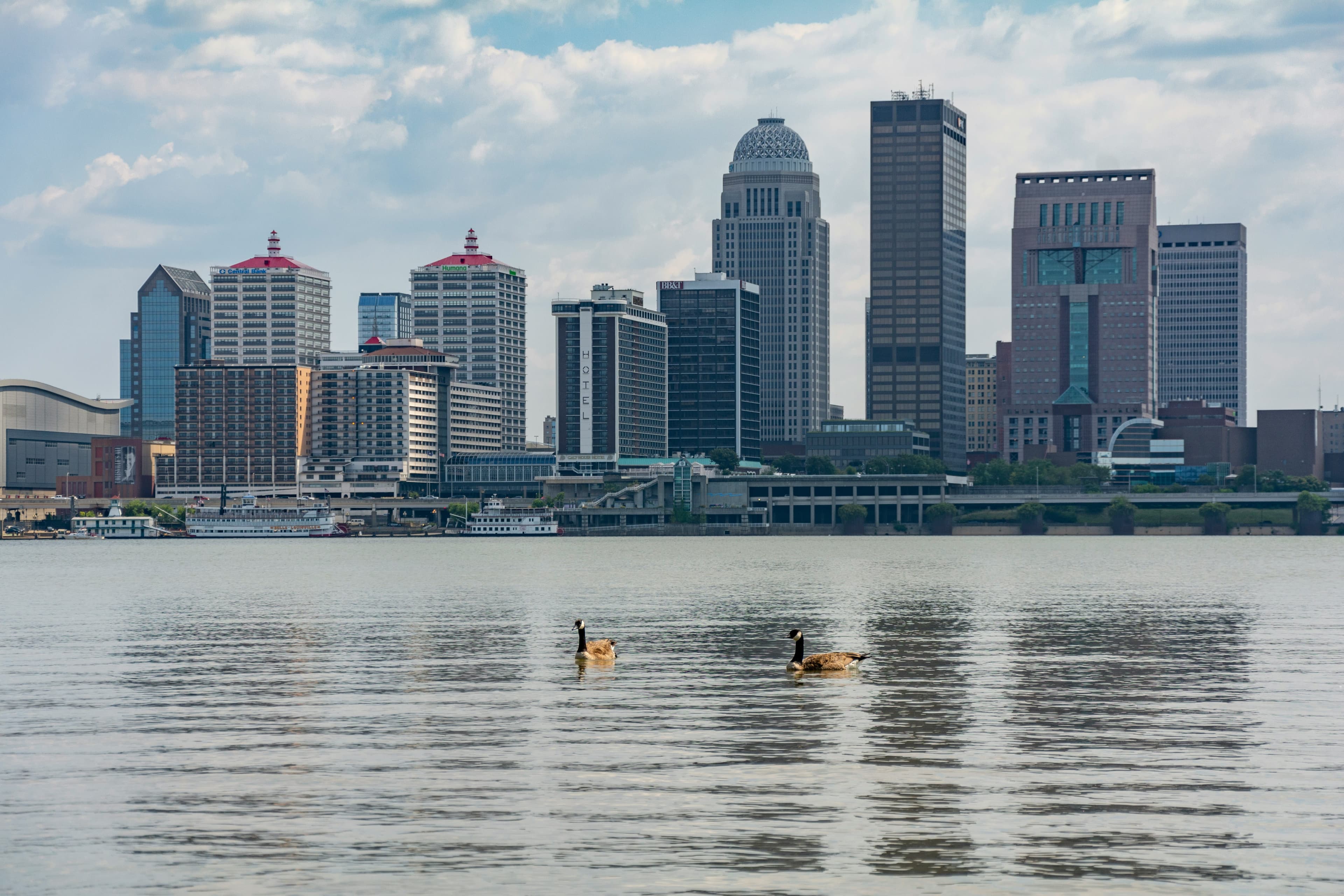 Medical Director, Louisville, Kentucky.