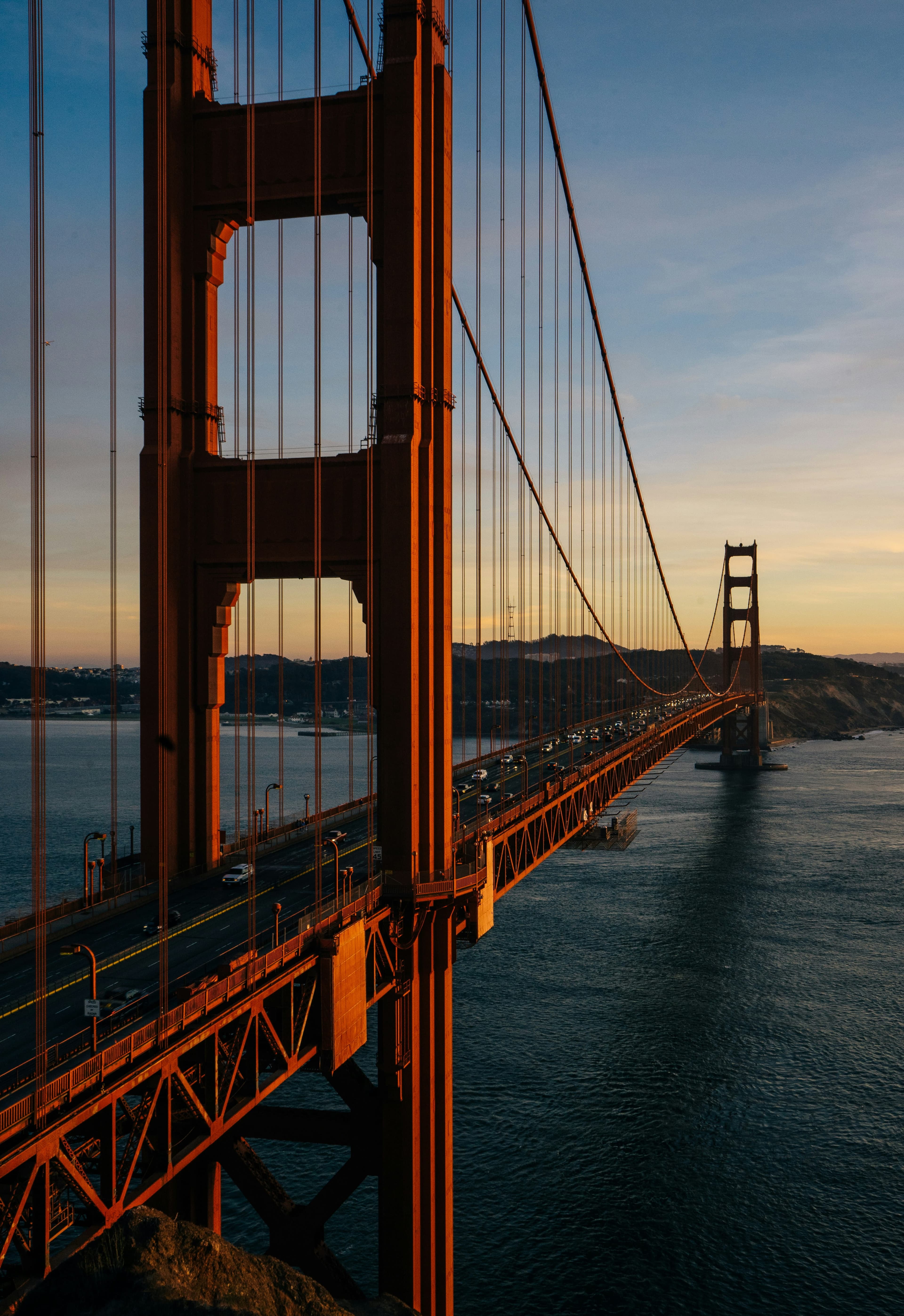 Associate Veterinarian, San Francisco, California.