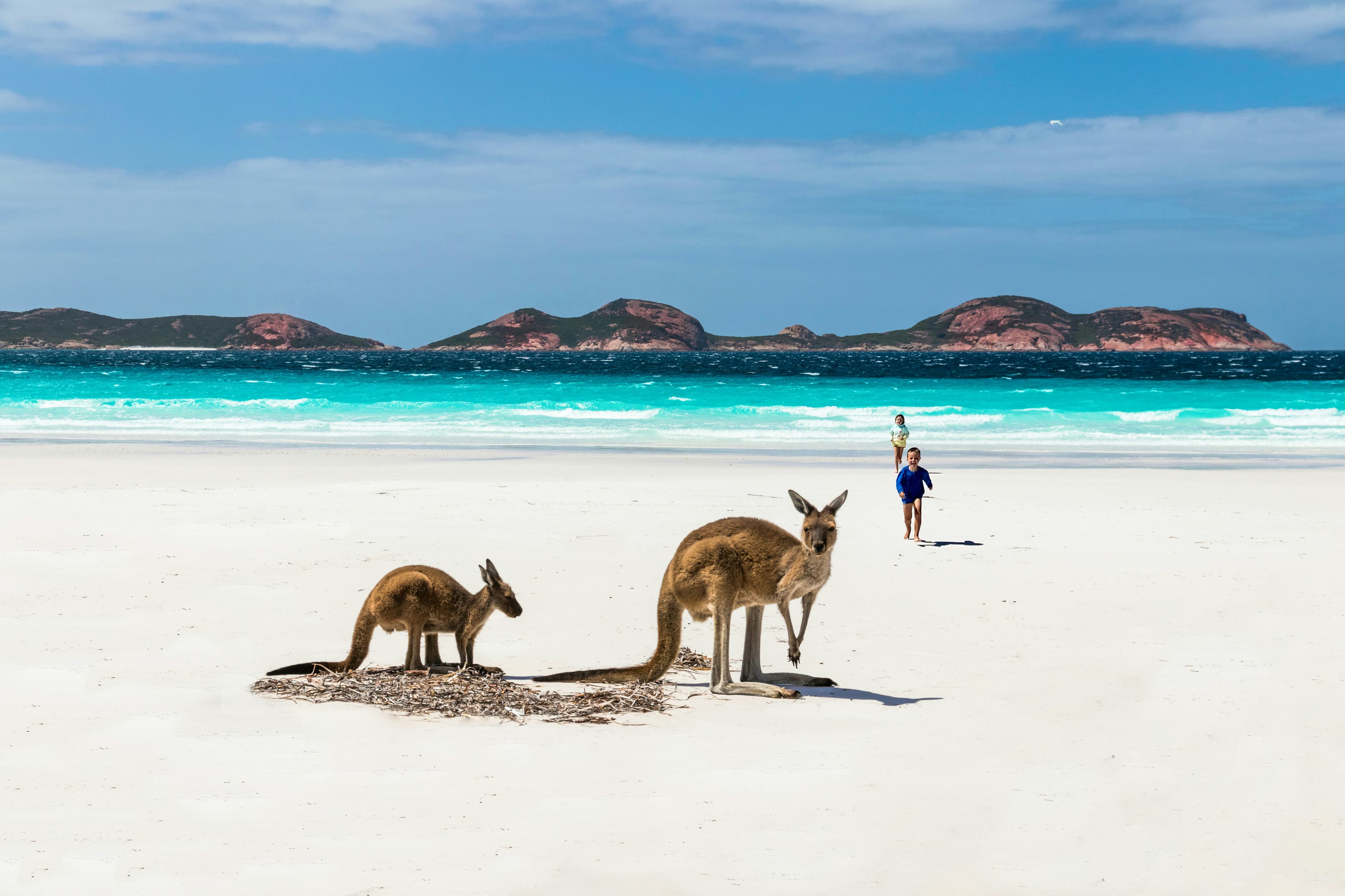 Radiology Specialist, Perth, Australia.