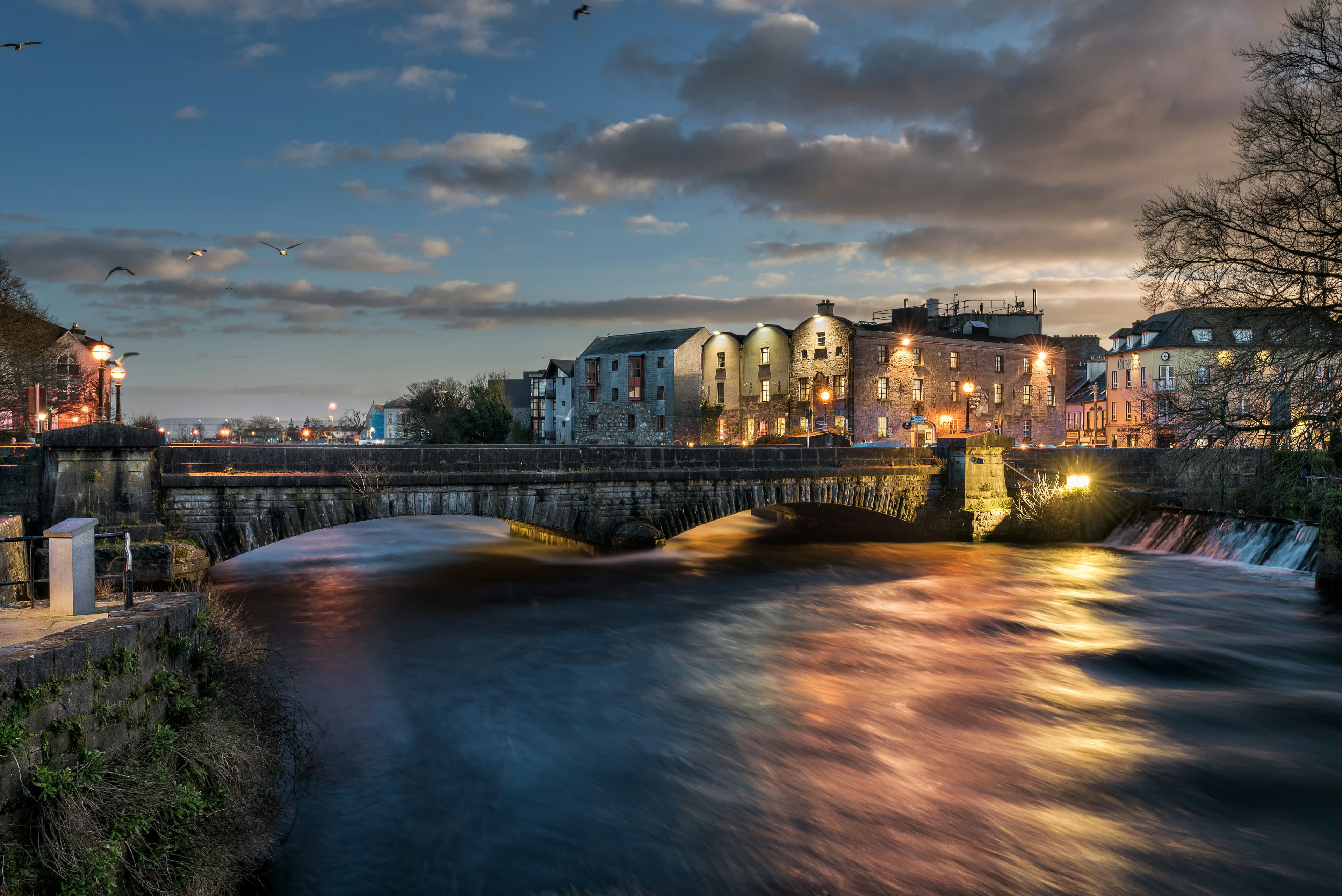 Veterinary Surgeon – Interest in Soft Tissue Surgery & Oncology – Galway, Ireland.