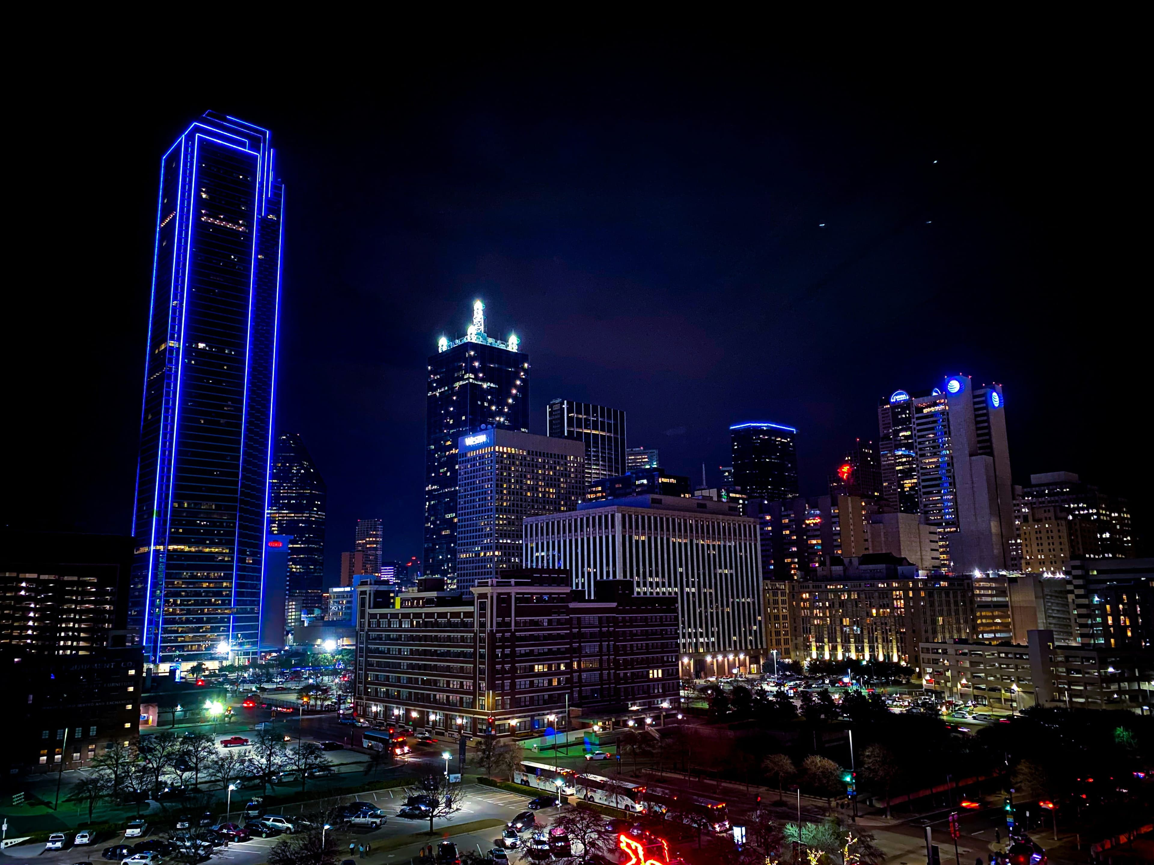 Lead Veterinarian, Dallas, Texas.