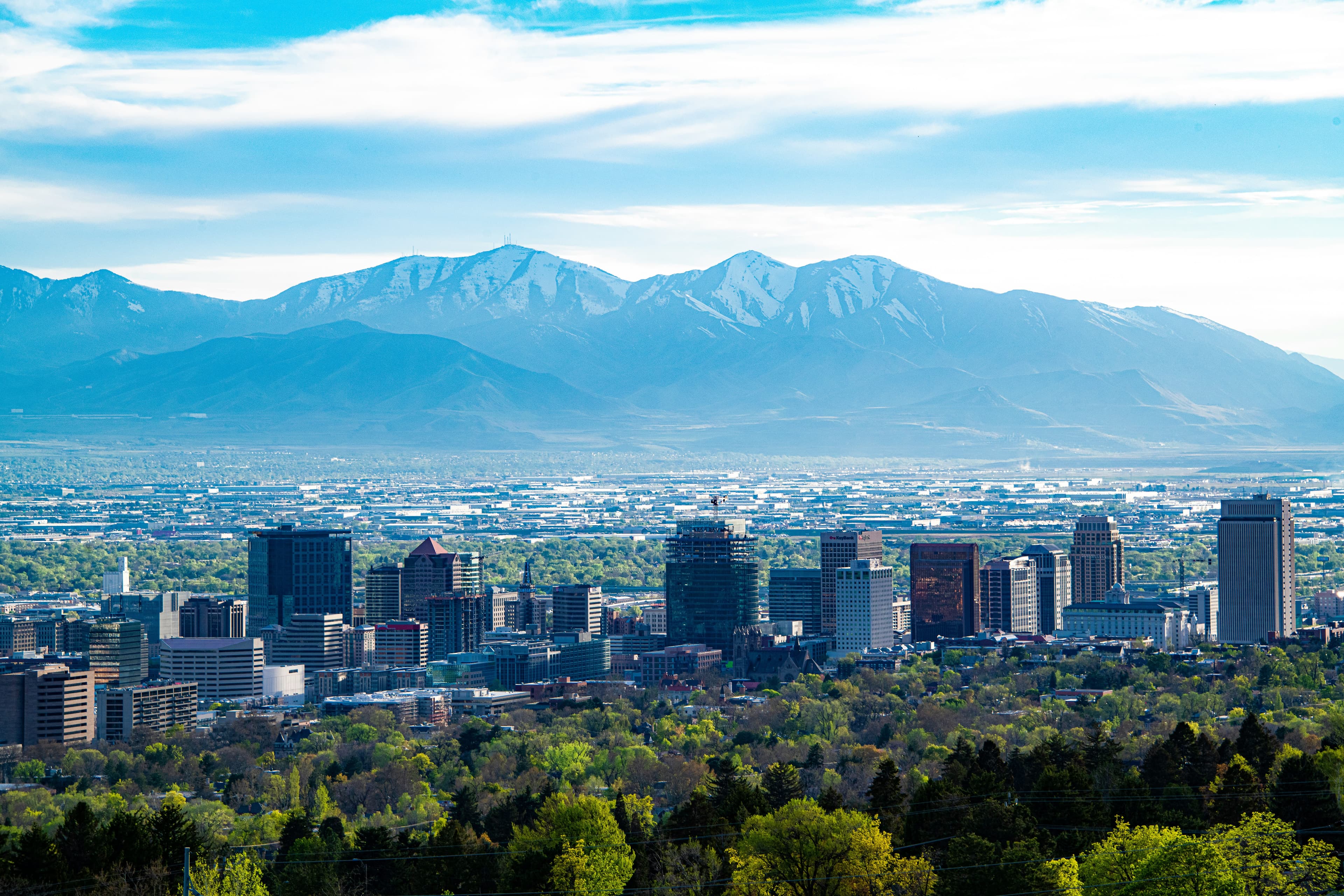 Lead Veterinarian, Utah.