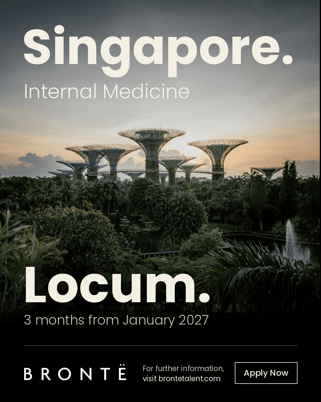 Locum Internal Medicine Specialist – ECVIM + ACVIM – Singapore.