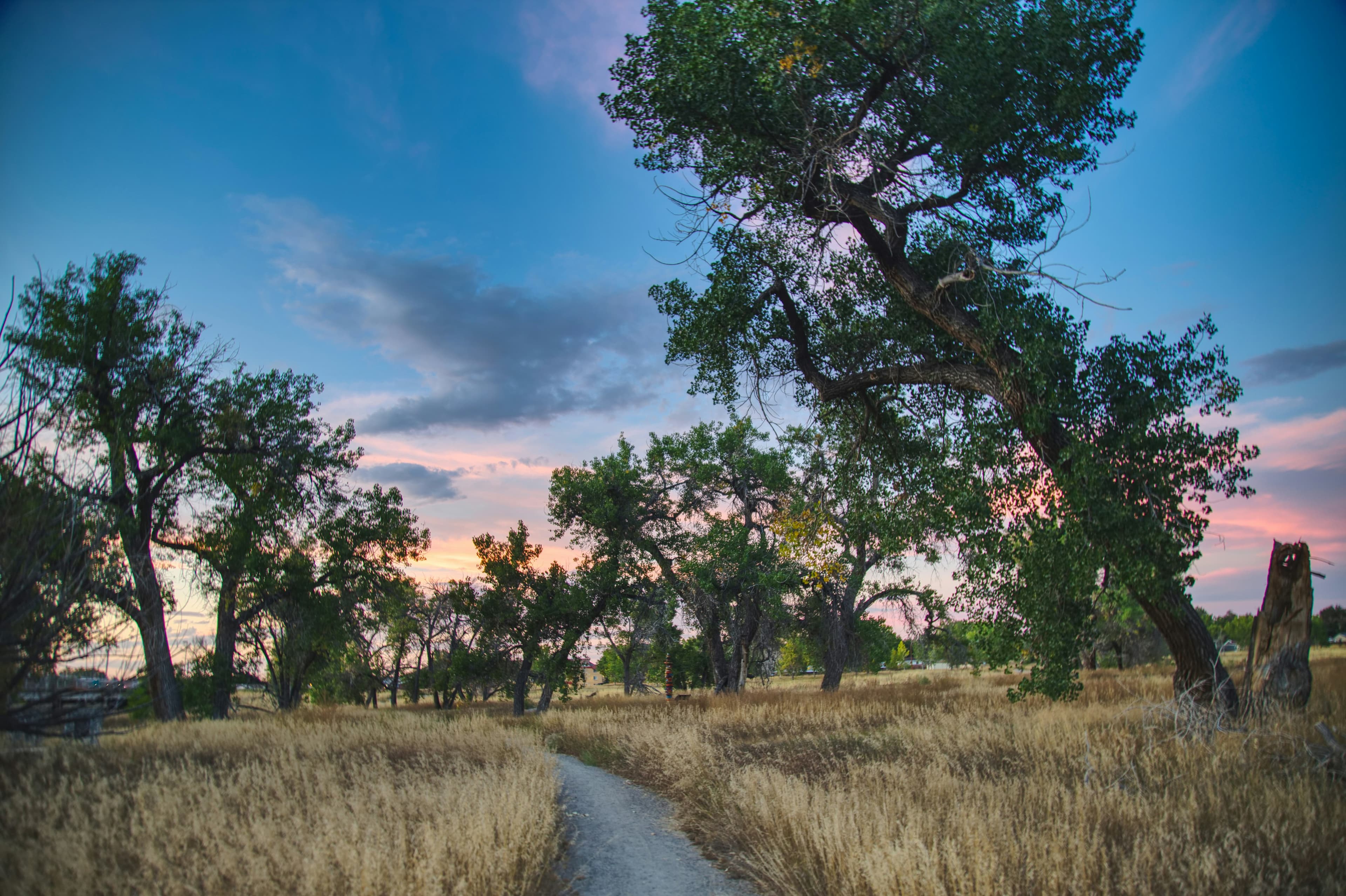 Medical Director, Aurora, Colorado.