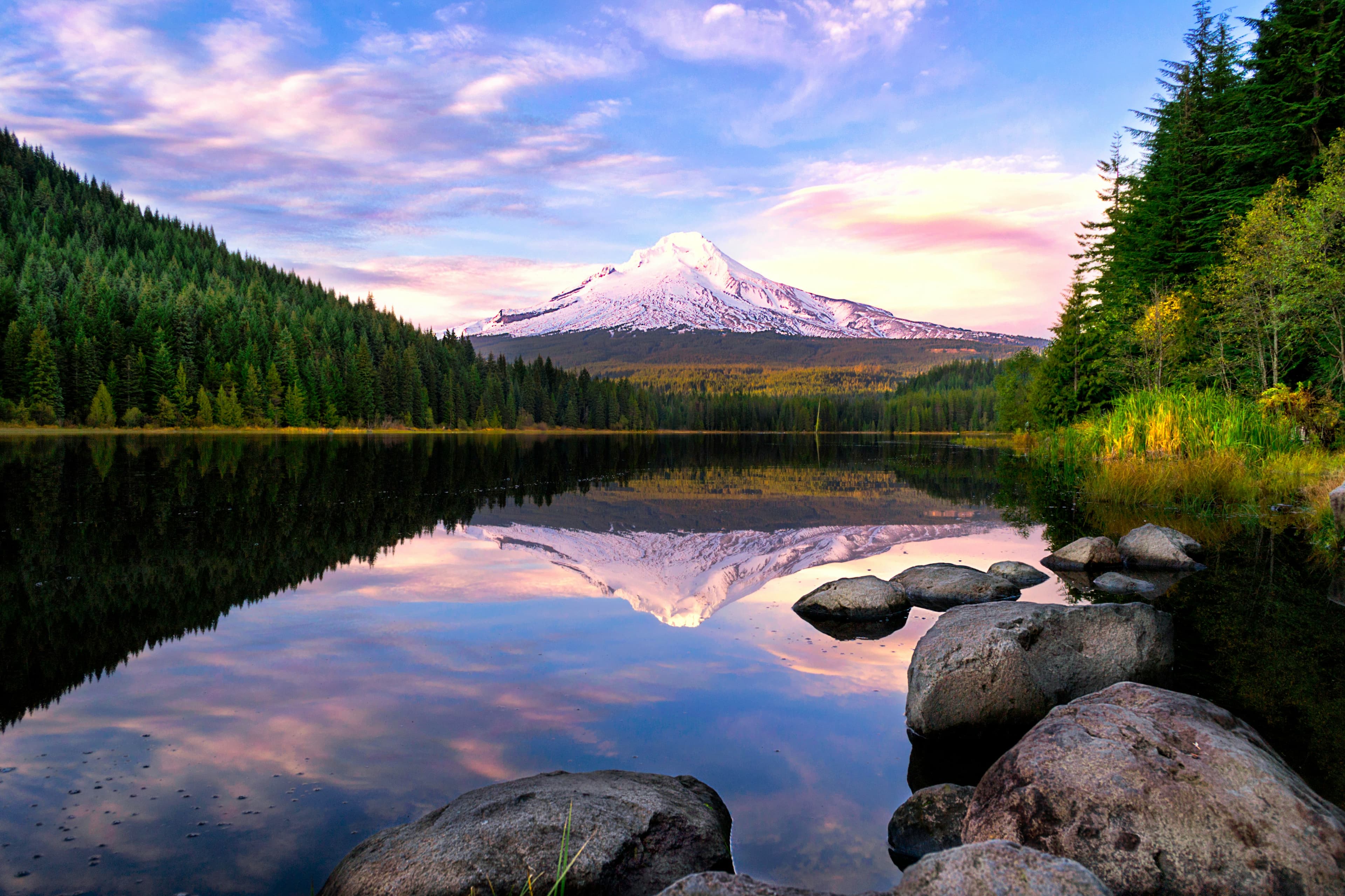 Associate Veterinarian, Portland, Oregon.