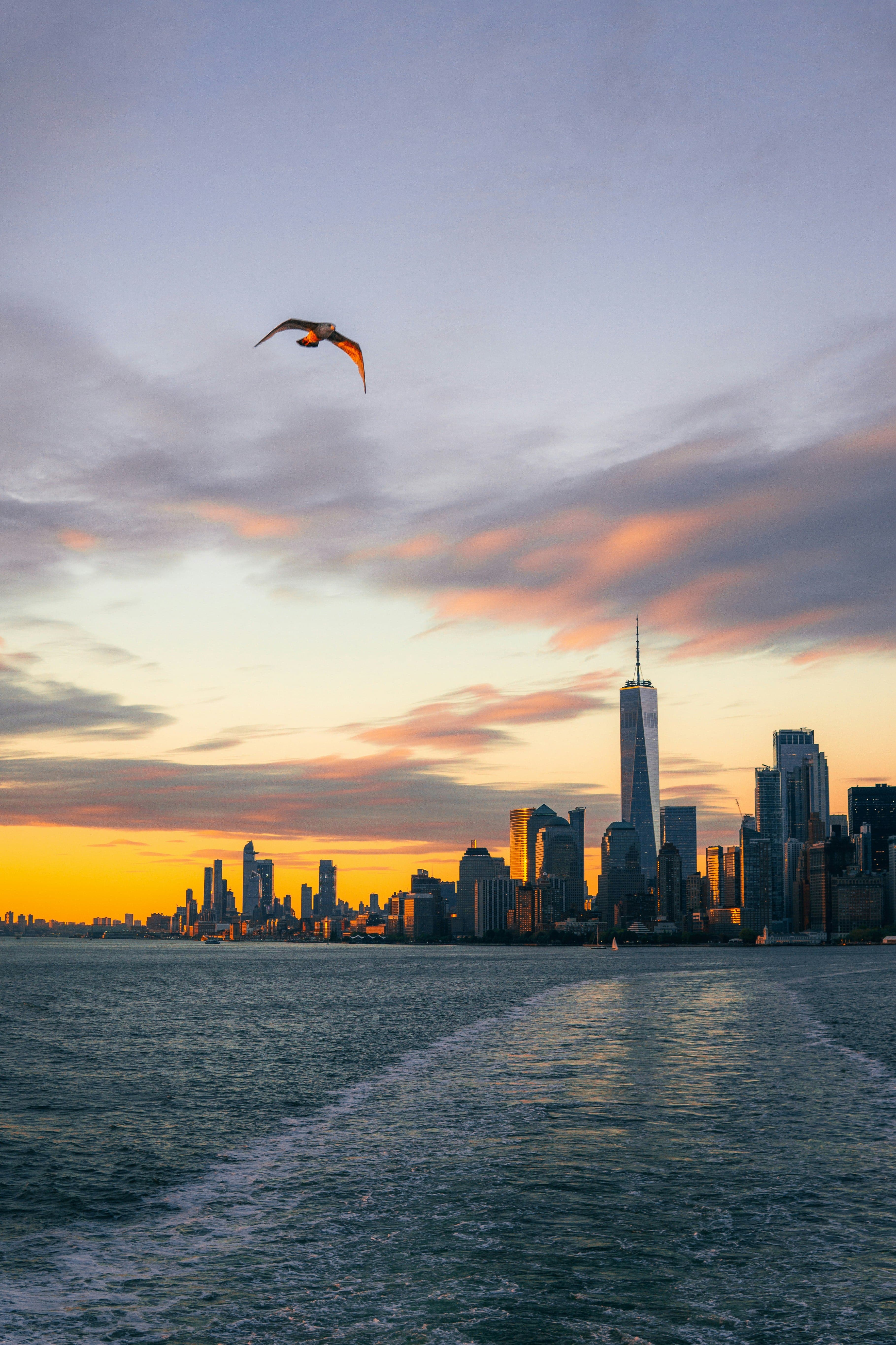 Associate Veterinarian, Staten Island, New York.