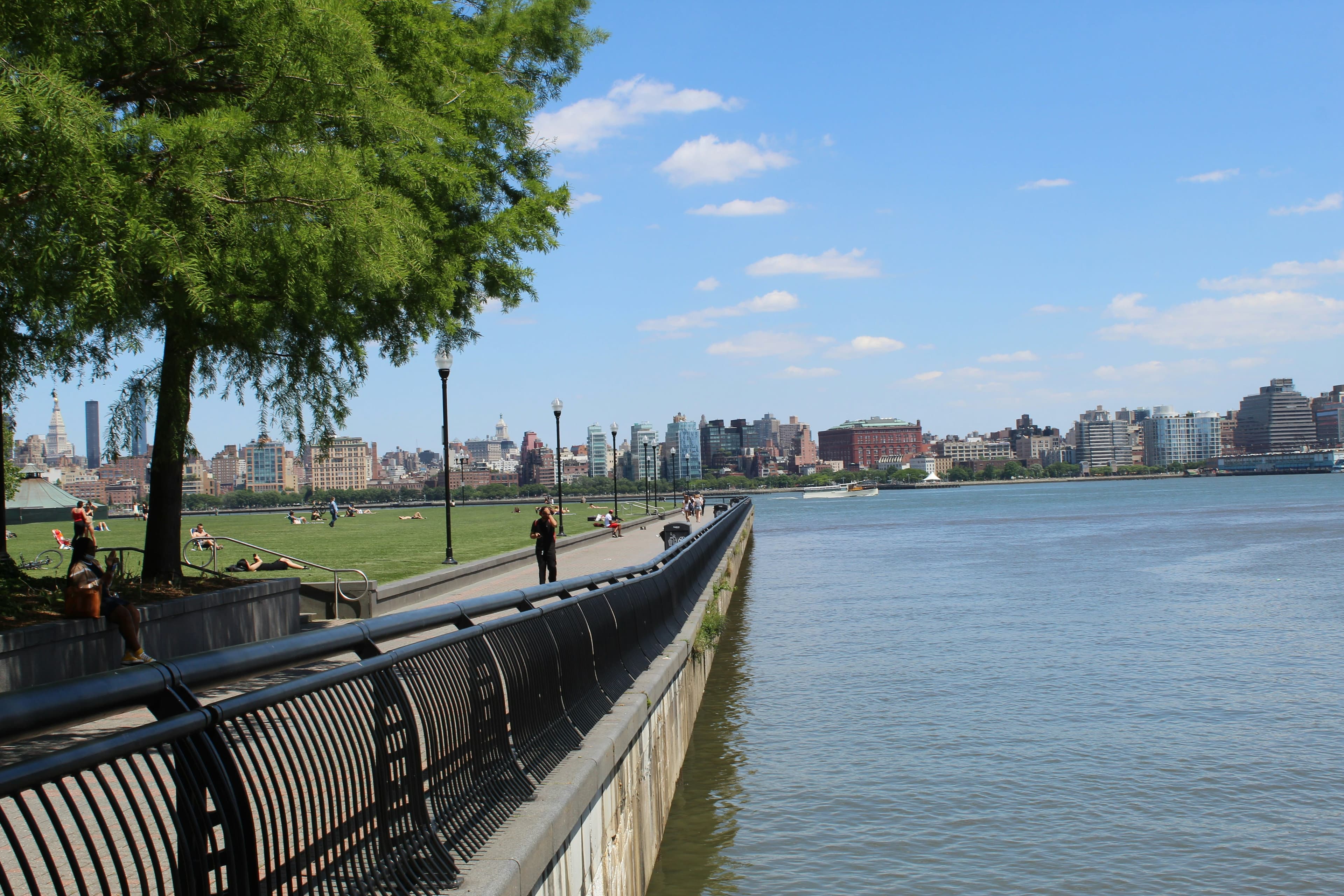 Associate Veterinarian, Hoboken, New Jersey.