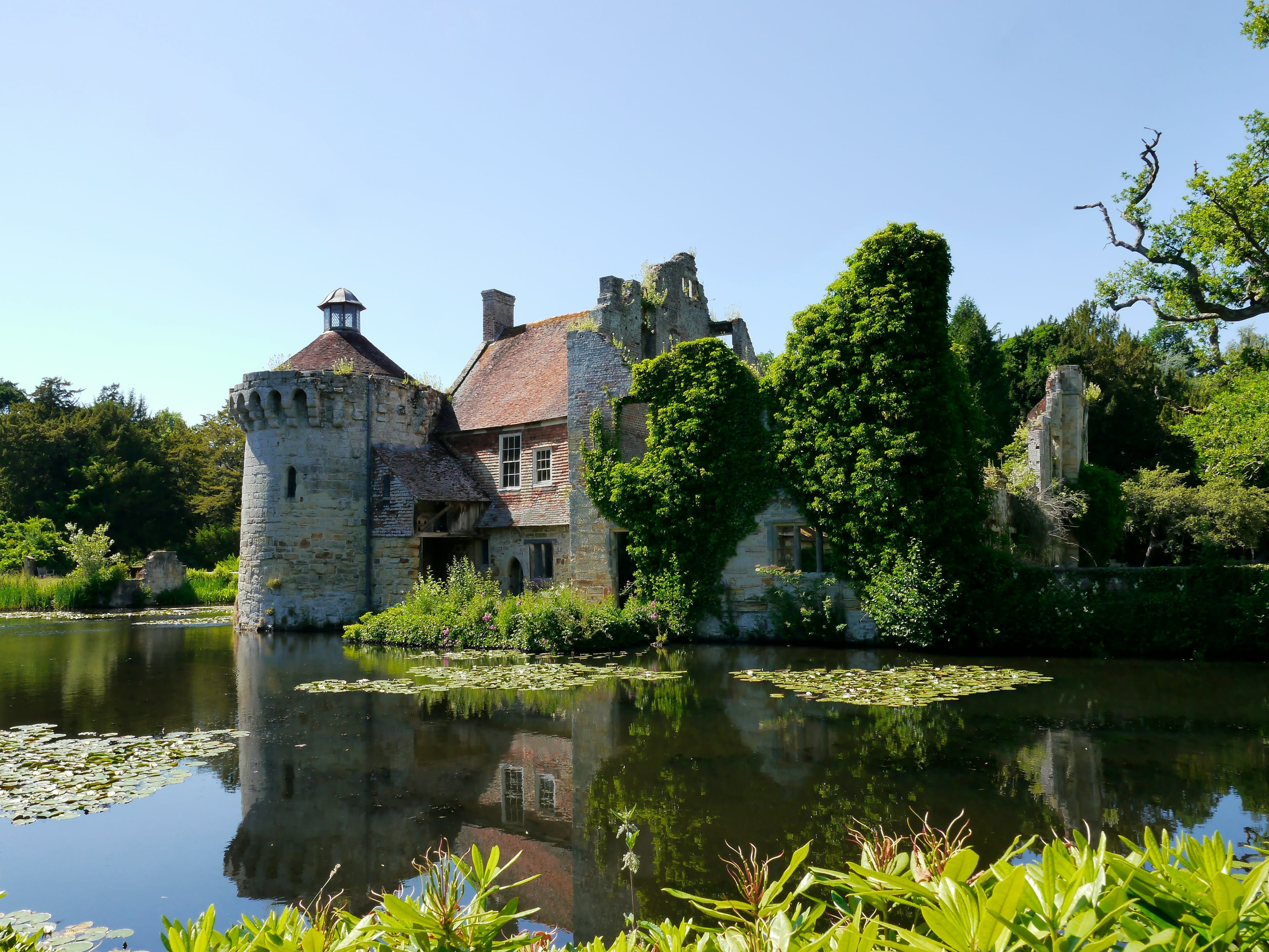 Head Veterinary Surgeon, Kent, United Kingdom.
