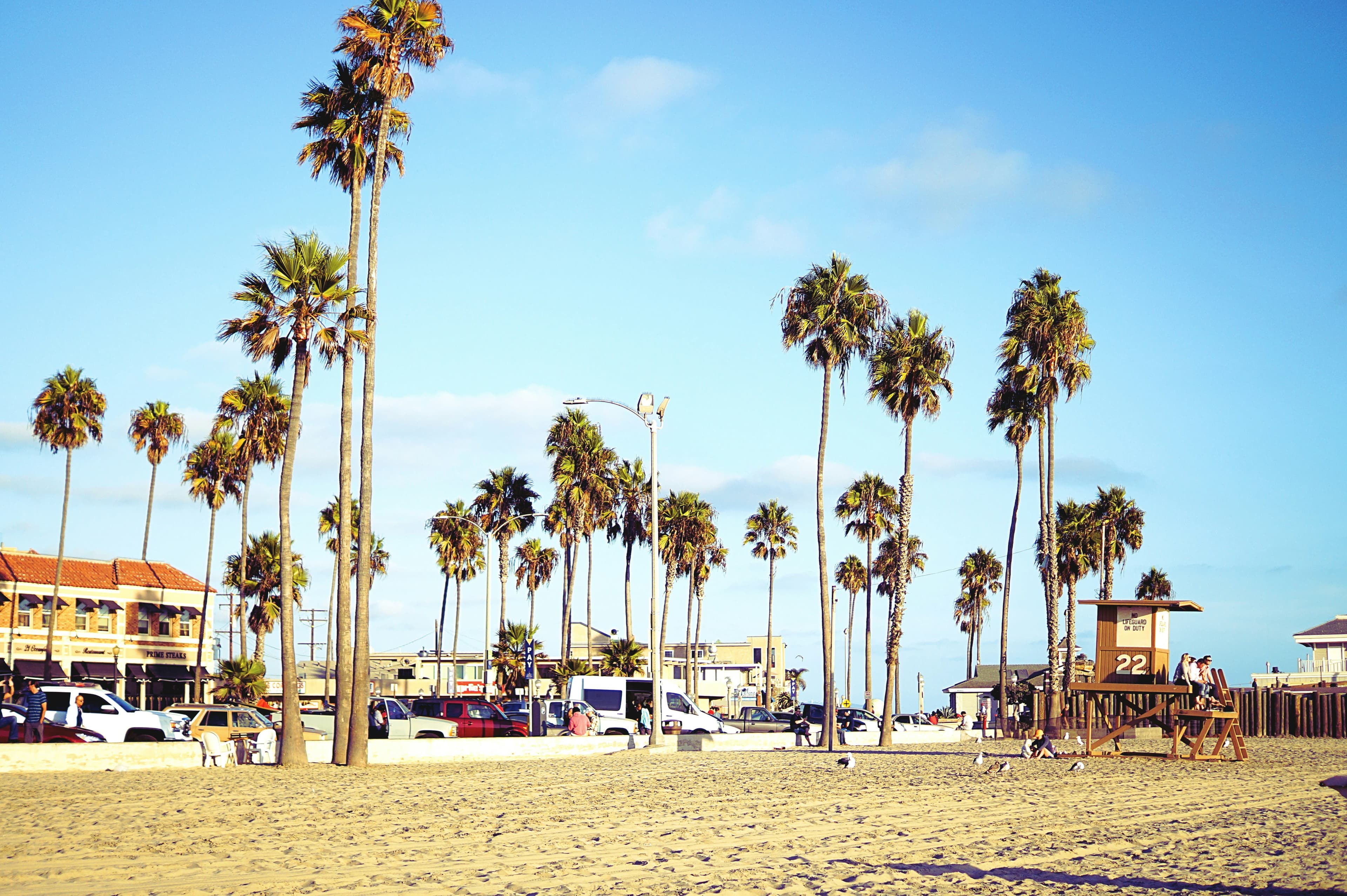 Associate Veterinarian, Santa Ana, California.